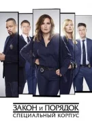 Закон и порядок. Специальный корпус смотреть онлайн сериал 1-25 сезон